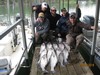 (05/04/2018) - Nice Striped Bass